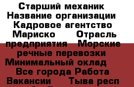 Старший механик › Название организации ­ Кадровое агентство "Мариско-2" › Отрасль предприятия ­ Морские, речные перевозки › Минимальный оклад ­ 1 - Все города Работа » Вакансии   . Тыва респ.,Ак-Довурак г.
